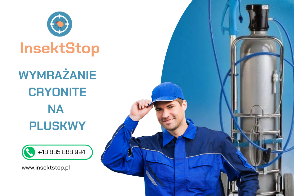 insektstop.pl dezynsekcja