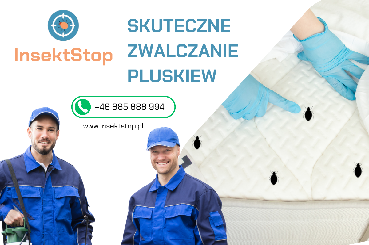 zwalczanie pluskiew insektstop.pl